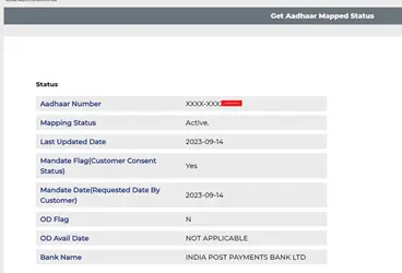 How to Check DBT Enable Disable Status : आपके बैंक खाते से DBT चालू है या नहीं ऐसे घर बैठे पता करें 2024