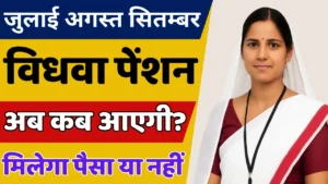अब विधवा पेंशन क्यों नहीं आ रही ? - UP Vidhwa Pension August Me Kab Aaegi
