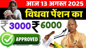 आज विधवा पेंशन का पैसा Approved किया गया - UP Vidhwa Pension Kab Milegi 2025
